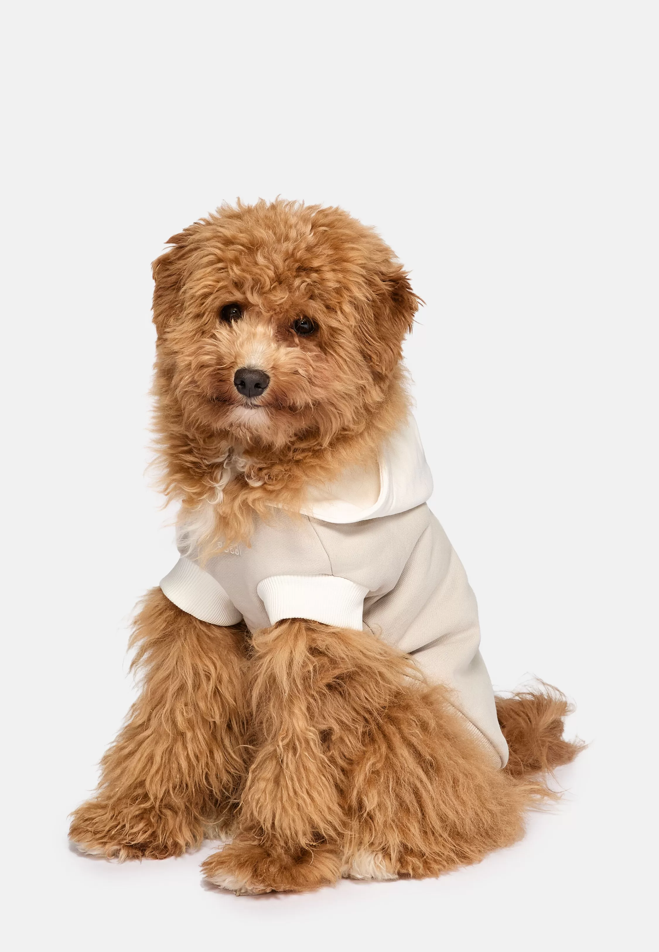 Boggi Milano Cotton Hoodie For Dogs